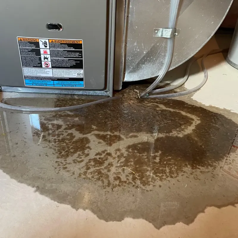 Appliance Leak Cleanup in Walker, MI